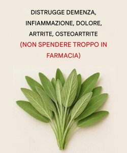 Tutto quello che puoi fare con una singola pianta di salvia: tutti gli usi della nonna