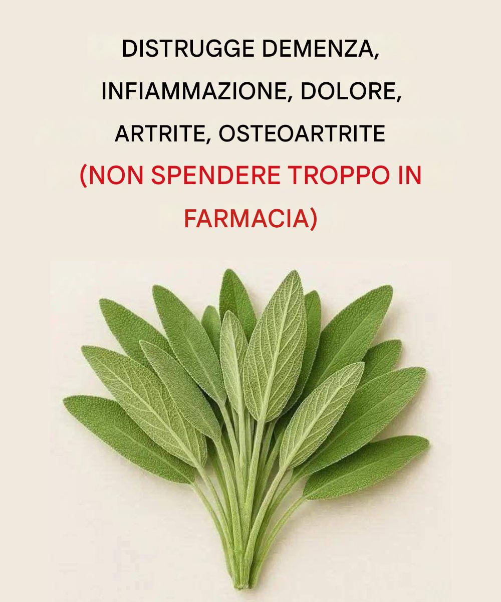 Tutto quello che puoi fare con una singola pianta di salvia: tutti gli usi della nonna