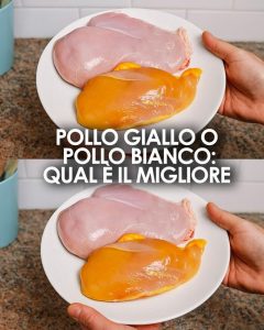 Qual è la differenza tra il pollo giallo e il pollo bianco: una guida per la scelta