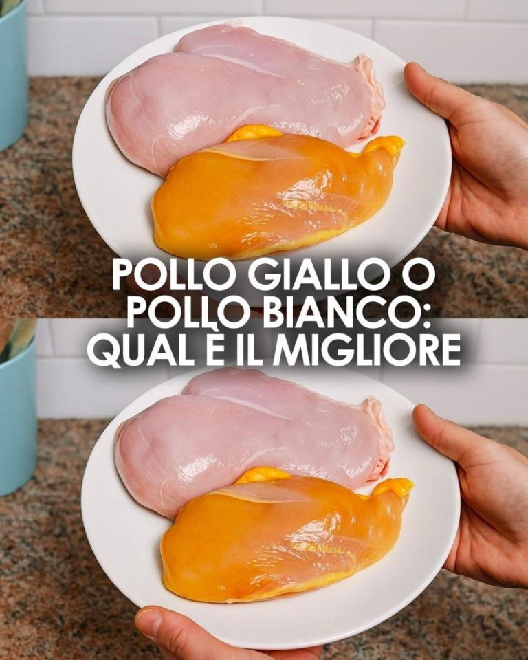 Qual è la differenza tra il pollo giallo e il pollo bianco: una guida per la scelta