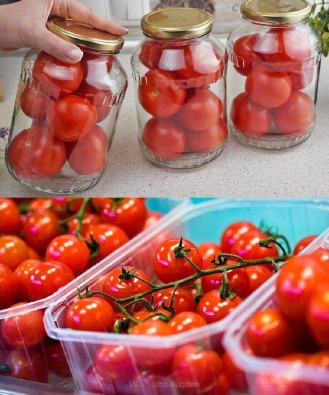 Pomodori a lunga vita: il segreto della nonna per conservarli in vetro fino a 6 mesi