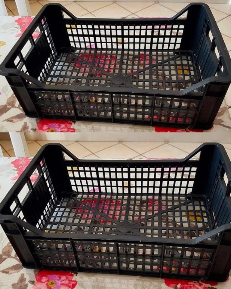 Come arredare il giardino a costo zero: 7 idee fai da te per un riciclo creativo