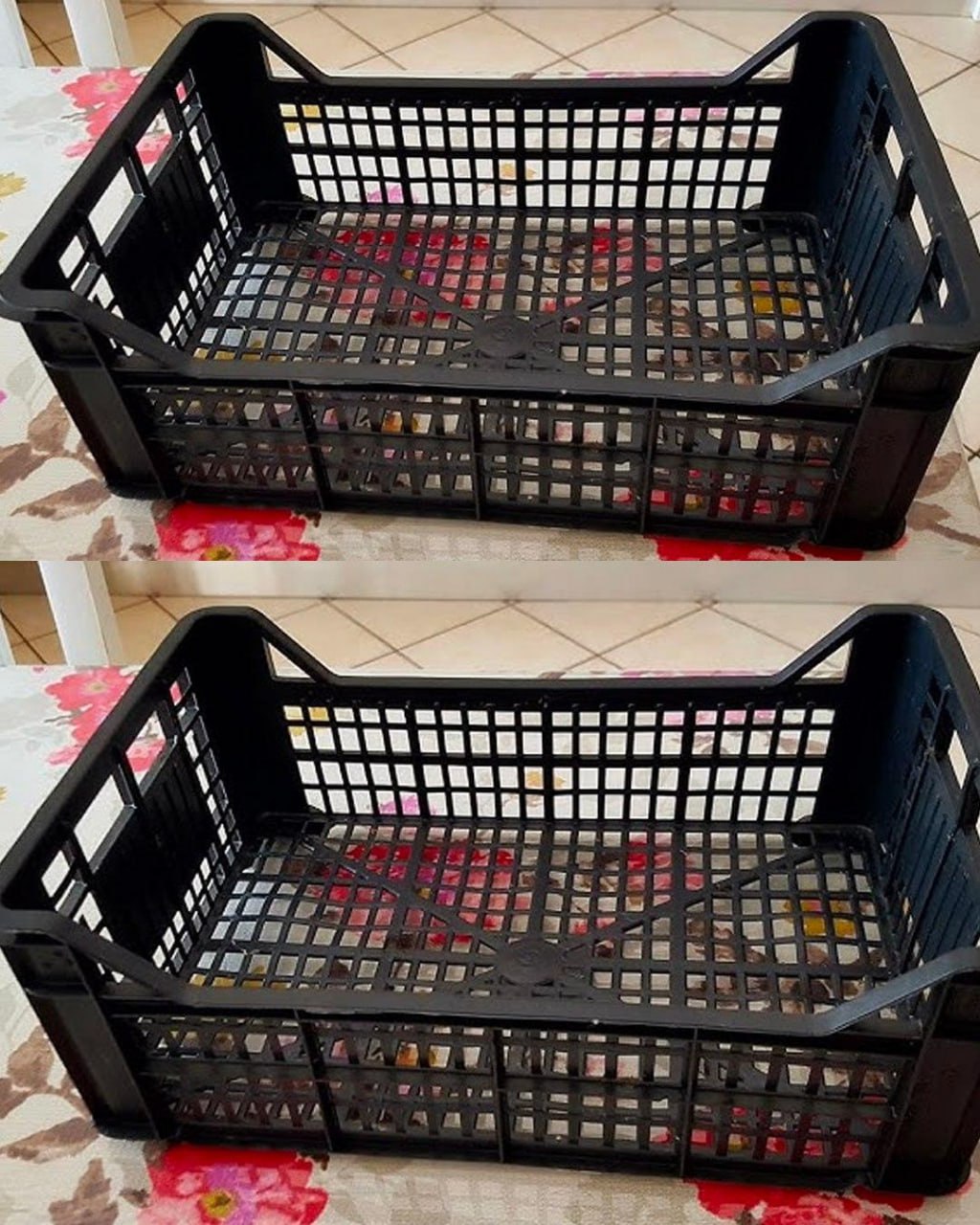 Come arredare il giardino a costo zero: 7 idee fai da te per un riciclo creativo