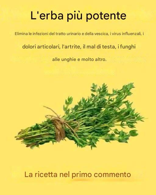 L’erba più potente: un rimedio naturale per molteplici disturbi
