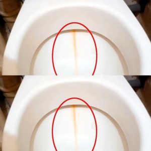 Lo applico sullo scopino del WC e pulisco il water. Il calcare scompare in un batter d’occhio.