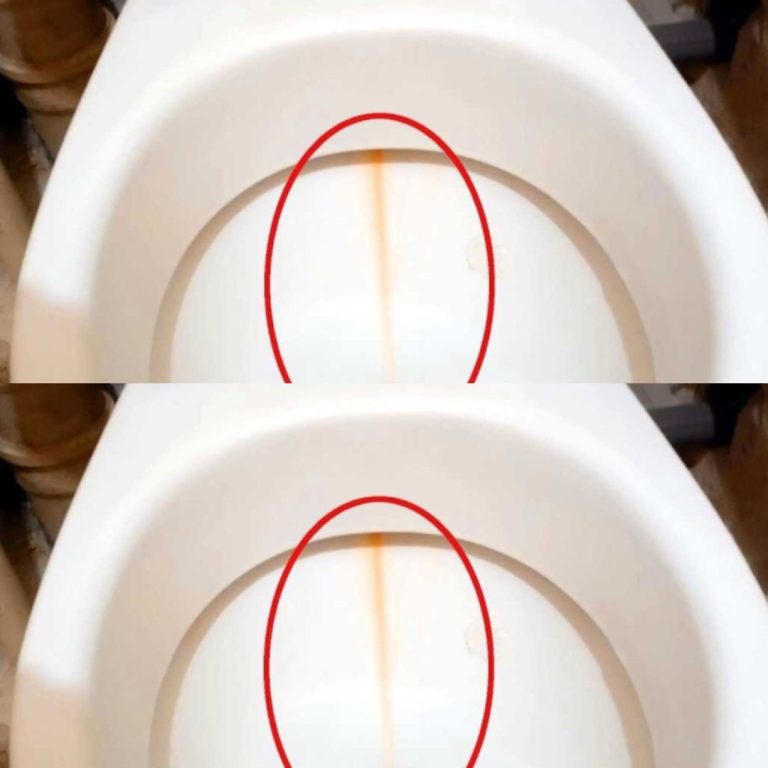 Lo applico sullo scopino del WC e pulisco il water. Il calcare scompare in un batter d’occhio.