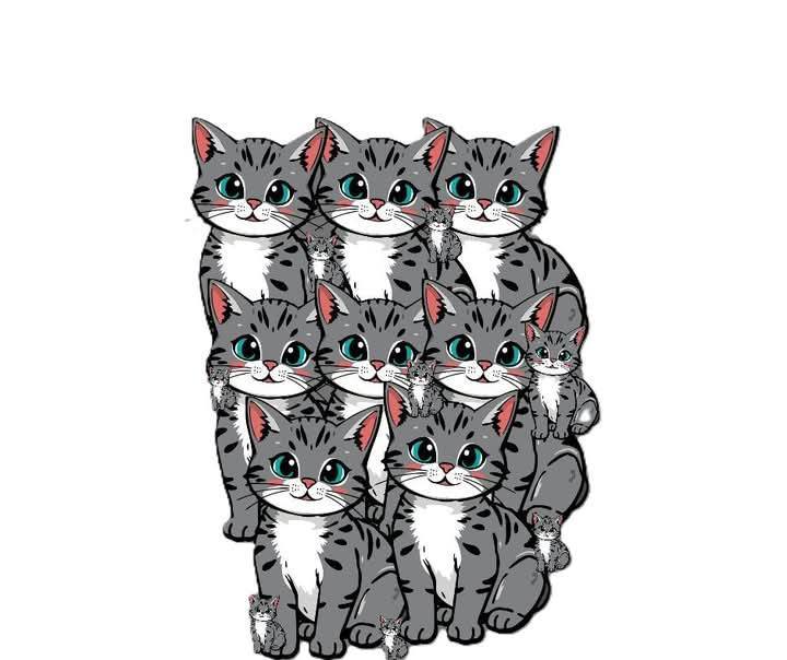 Quanti gatti vedi?🤔?