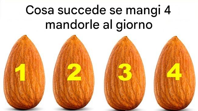 Cosa succede se mangi 4 mandorle al giorno?