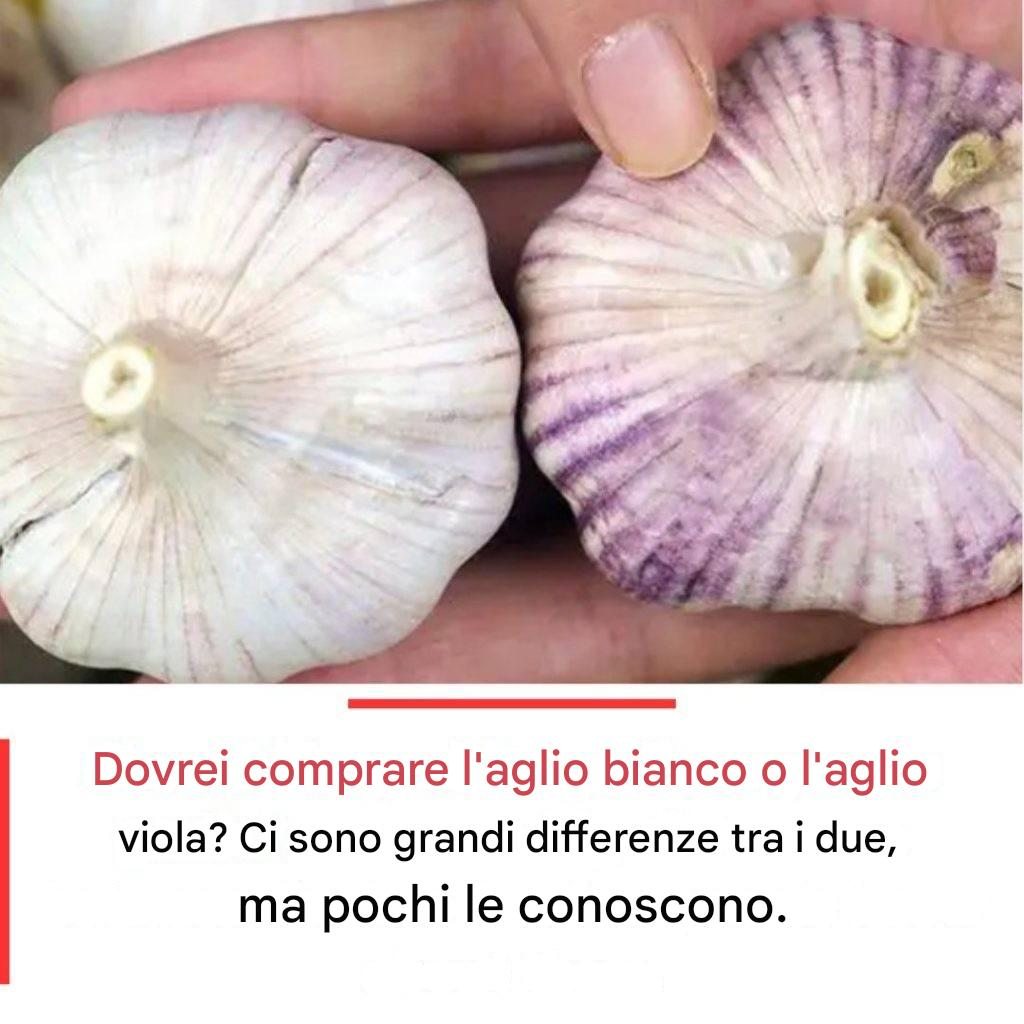 Aglio bianco vs. aglio viola...qual è la differenza e quale dovresti scegliere?