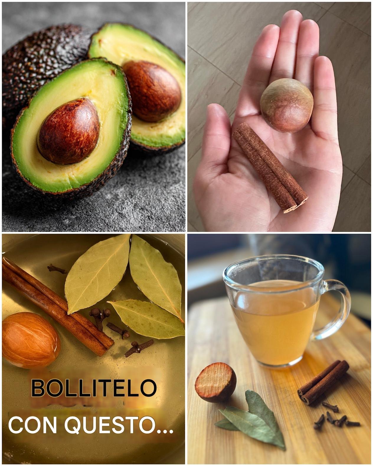 Polvere di semi di avocado: come prepararla e i suoi benefici