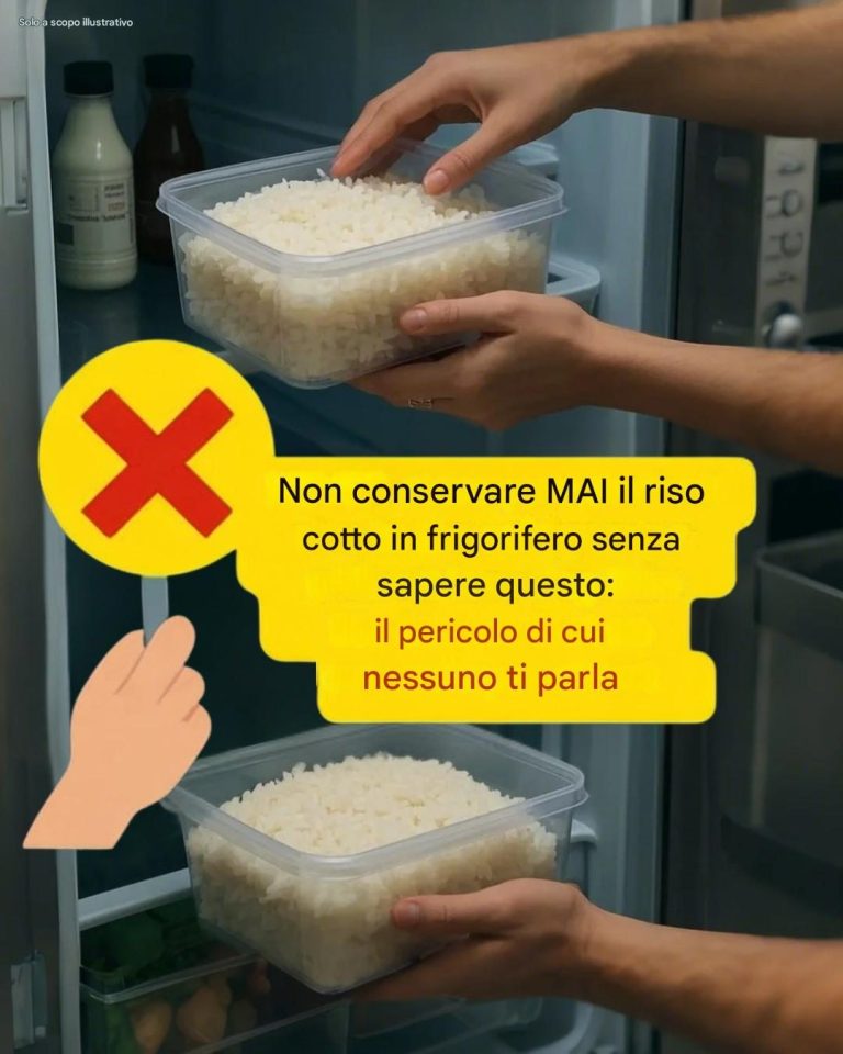 Non conservare mai il riso cotto in frigorifero senza sapere questo