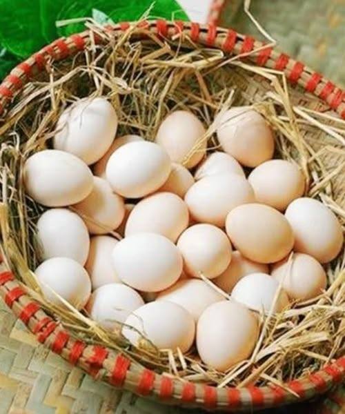 Smettete di mangiare questi 6 tipi di uova: sono pericolosi per la salute!