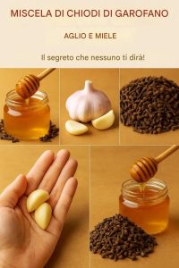 Chiodi di garofano, aglio e miele: un potente rimedio naturale