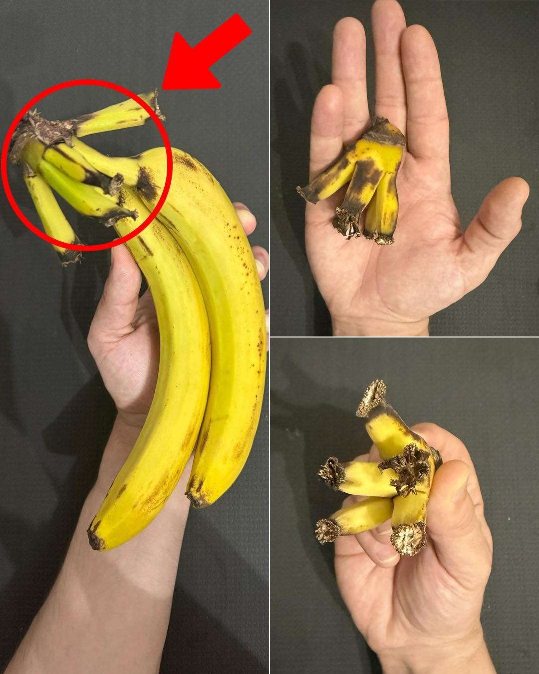 Scatenare il potenziale nascosto del gambo della banana
