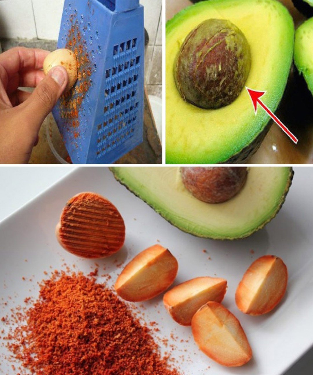 Semi di avocado: 7 buoni motivi per usarli