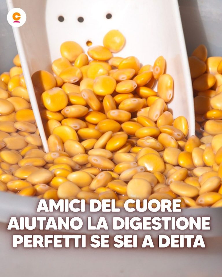 Benefici e controindicazioni dei lupini: perché inserirli nella tua alimentazione