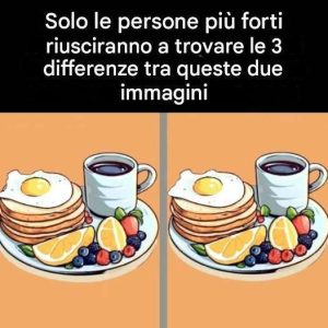 Solo le persone con una vista eccellente riusciranno a trovare le 3 differenze tra queste due immagini in meno di 11 secondi