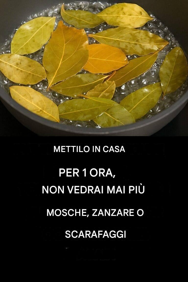 Dite addio a mosche, zanzare e scarafaggi bollendo queste foglie