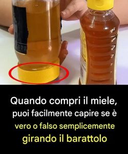 5 semplici modi per testare il miele a casa — N. 3: hanno sorpreso anche gli apicoltori!