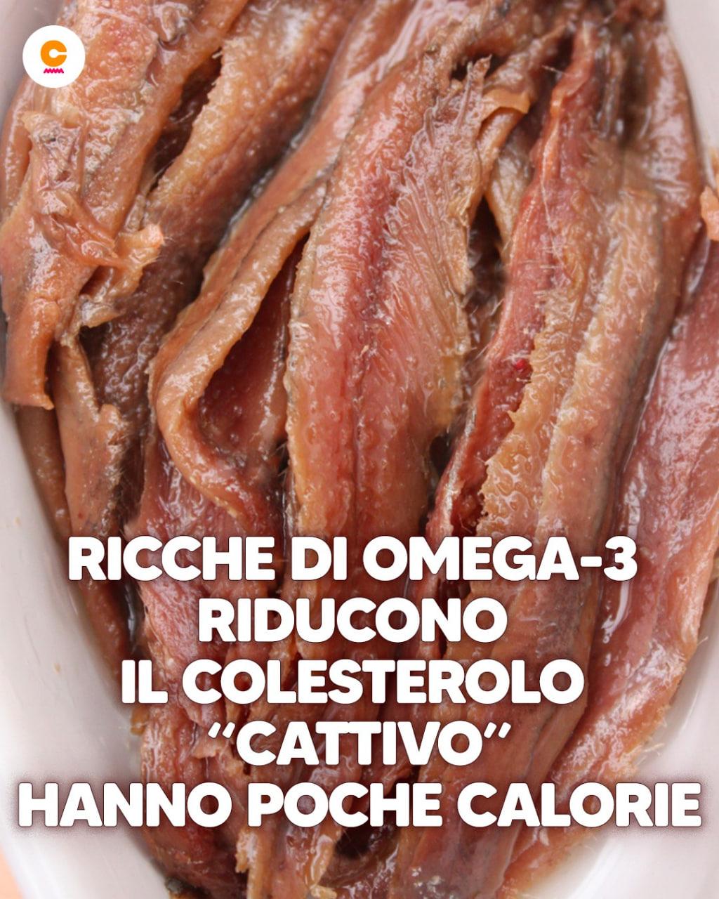 Acciughe, un tesoro dal mare: benefici e controindicazioni