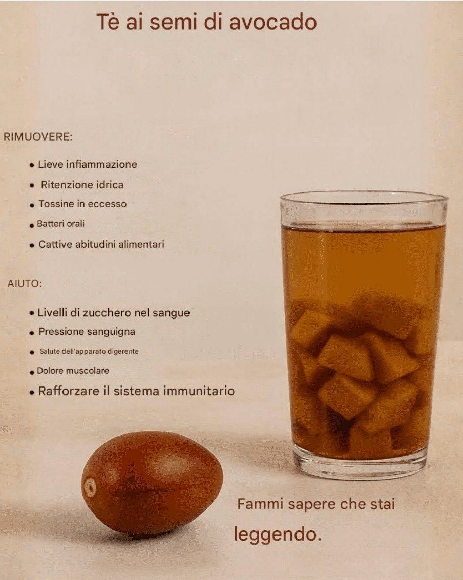 Semi di avocado: purificano il corpo e rafforzano il cuore in modo naturale.