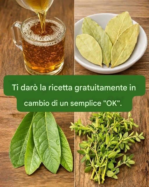 La foglia che è una benedizione di Dio: l’alloro.