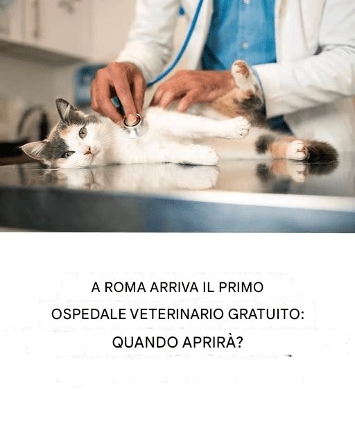 Il primo ospedale veterinario gratuito di Roma è ora aperto. Questa struttura innovativa è progettata per fornire cure veterinarie accessibili a tutti i pazienti. Ecco quando aprirà.