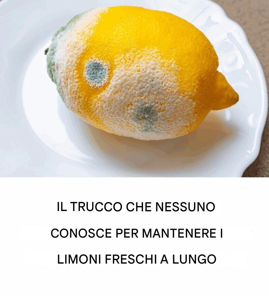 Come mantenere i limoni freschi più a lungo e prevenire la muffa