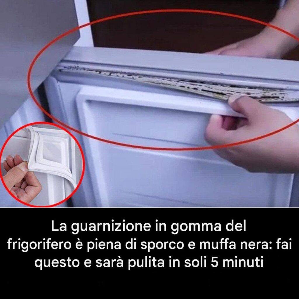 Come pulire la guarnizione in gomma del frigorifero?