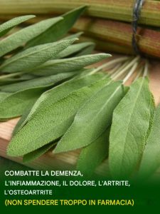 Tutto ciò che puoi fare con questa pianta: tutti gli usi della nonna