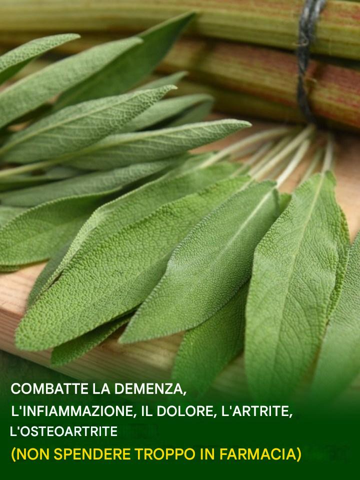 Tutto ciò che puoi fare con questa pianta: tutti gli usi della nonna