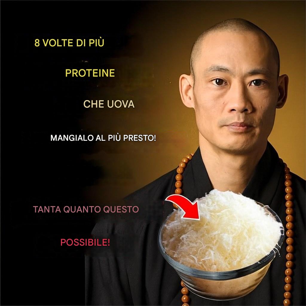 10 alimenti che contengono più proteine ​​delle uova