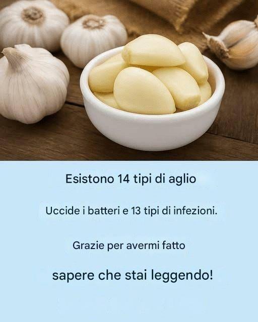Aglio: l’antibiotico naturale che combatte le infezioni