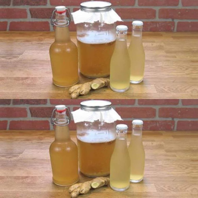 Come preparare l’acqua allo zenzero per bruciare il grasso della pancia