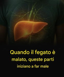 Quando il fegato è malato, queste parti iniziano a far male