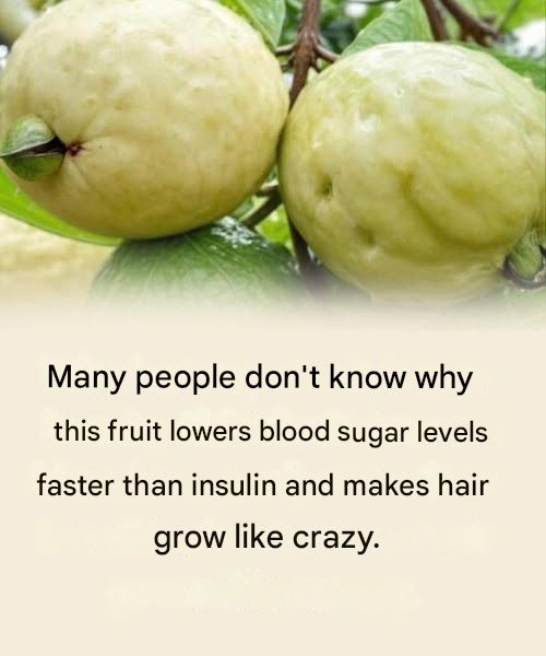 Scopri il potere di questo frutto miracoloso nel ridurre i livelli di zucchero nel sangue.