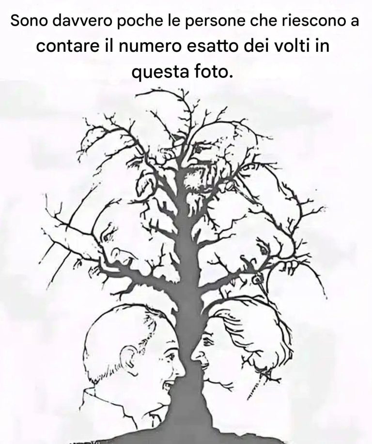 Se riesci a identificare tutti i volti nascosti in questa illusione in meno di dieci secondi, hai una vista eccezionale.