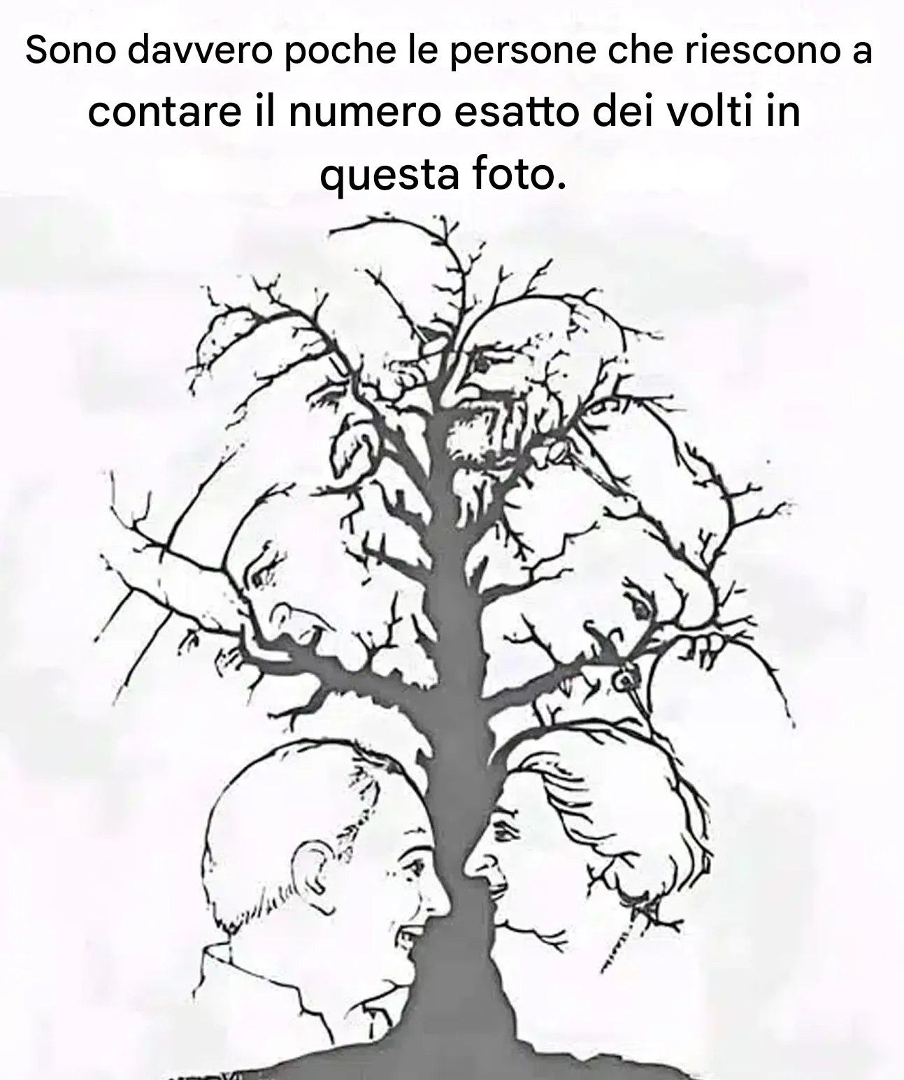 Se riesci a identificare tutti i volti nascosti in questa illusione in meno di dieci secondi, hai una vista eccezionale.