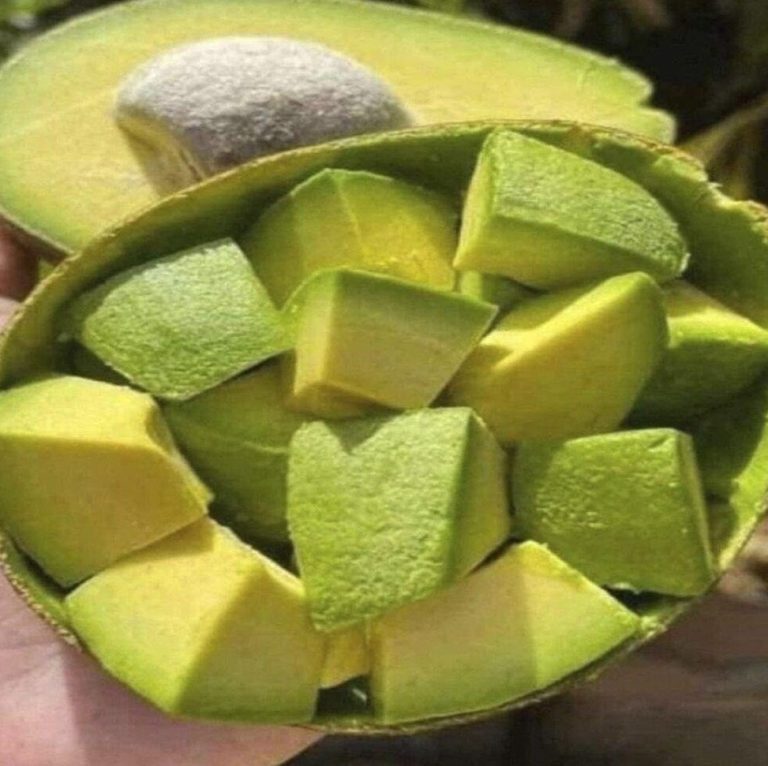 I medici rivelano che il consumo di avocado provoca…vedi altro