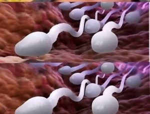 Lekarze ujawniają, że połykanie prowadzi do… Zobacz więcej