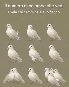 How many doves do you see? Check 1st comment to see who walks be your side 👇