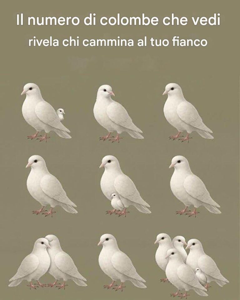 How many doves do you see? Check 1st comment to see who walks be your side 👇