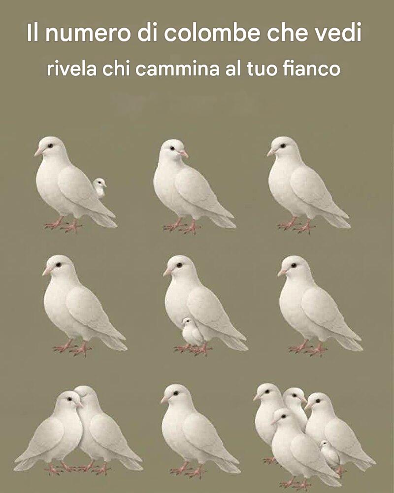 How many doves do you see? Check 1st comment to see who walks be your side 👇