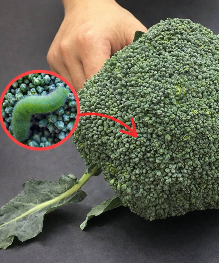 Lavare i broccoli solo con acqua è sbagliato: questo è il modo corretto.