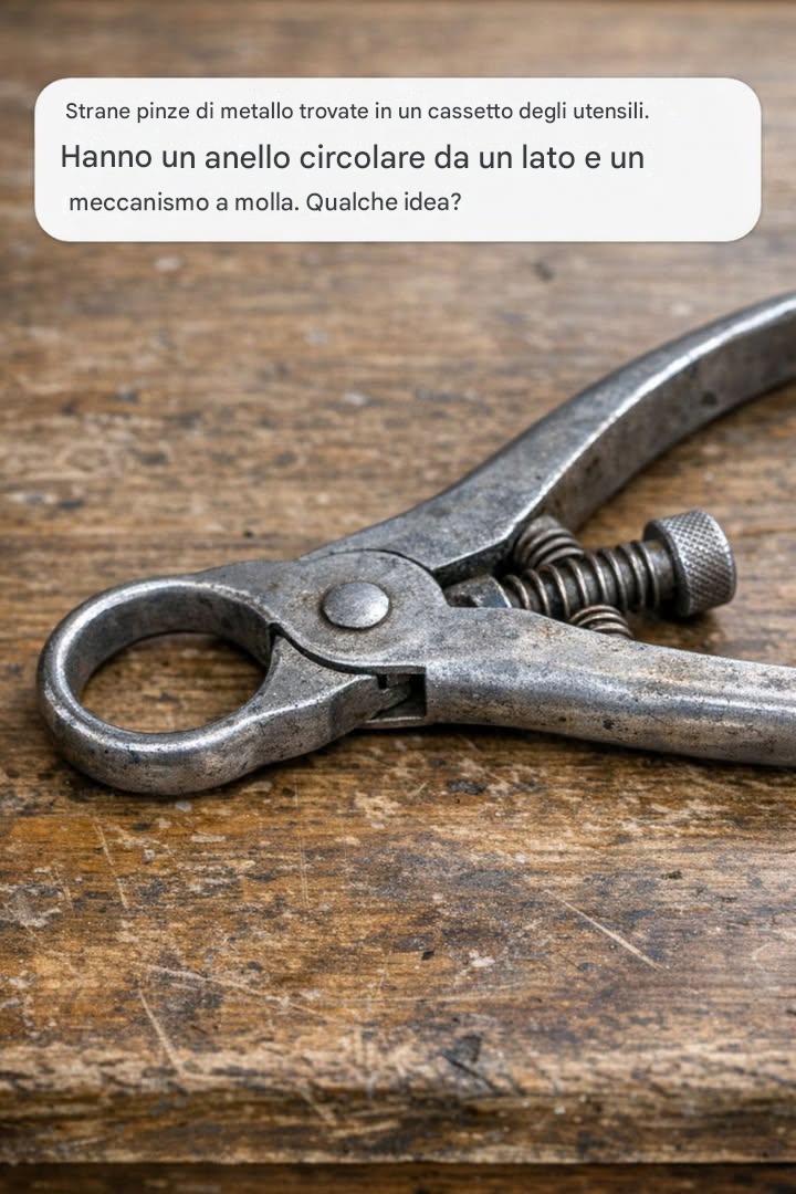 Strane pinze di metallo trovate in un cassetto delle posate. Hanno un anello circolare da un lato e un meccanismo a molla con stantuffo. Qualche idea? Articolo completo👇 💬